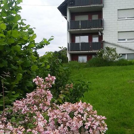 Ferienwohnung Am Eichbühl Waldkirch Exterior foto