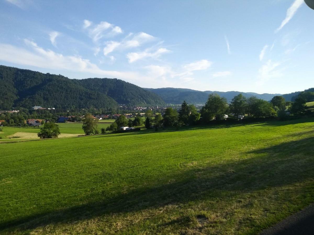 Ferienwohnung Am Eichbühl Waldkirch Exterior foto