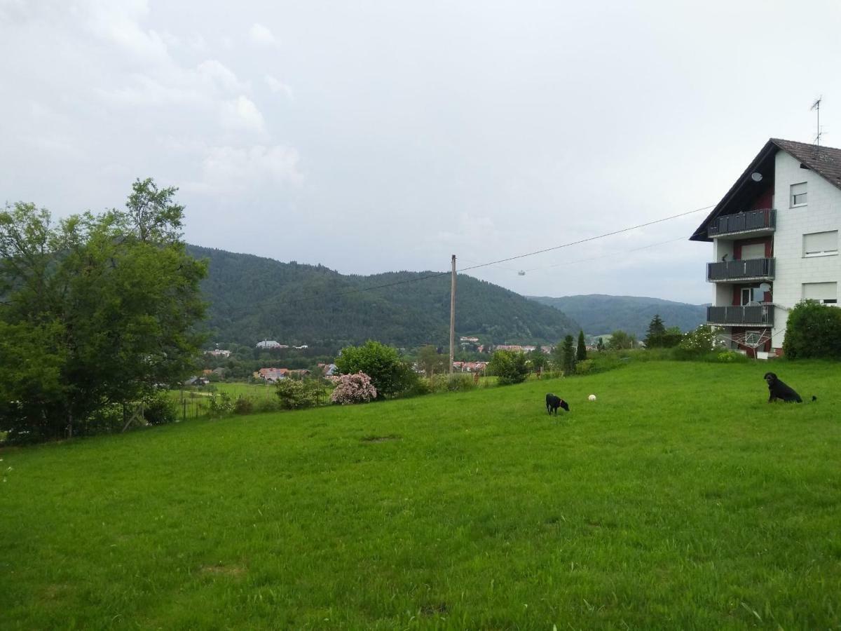 Ferienwohnung Am Eichbühl Waldkirch Exterior foto